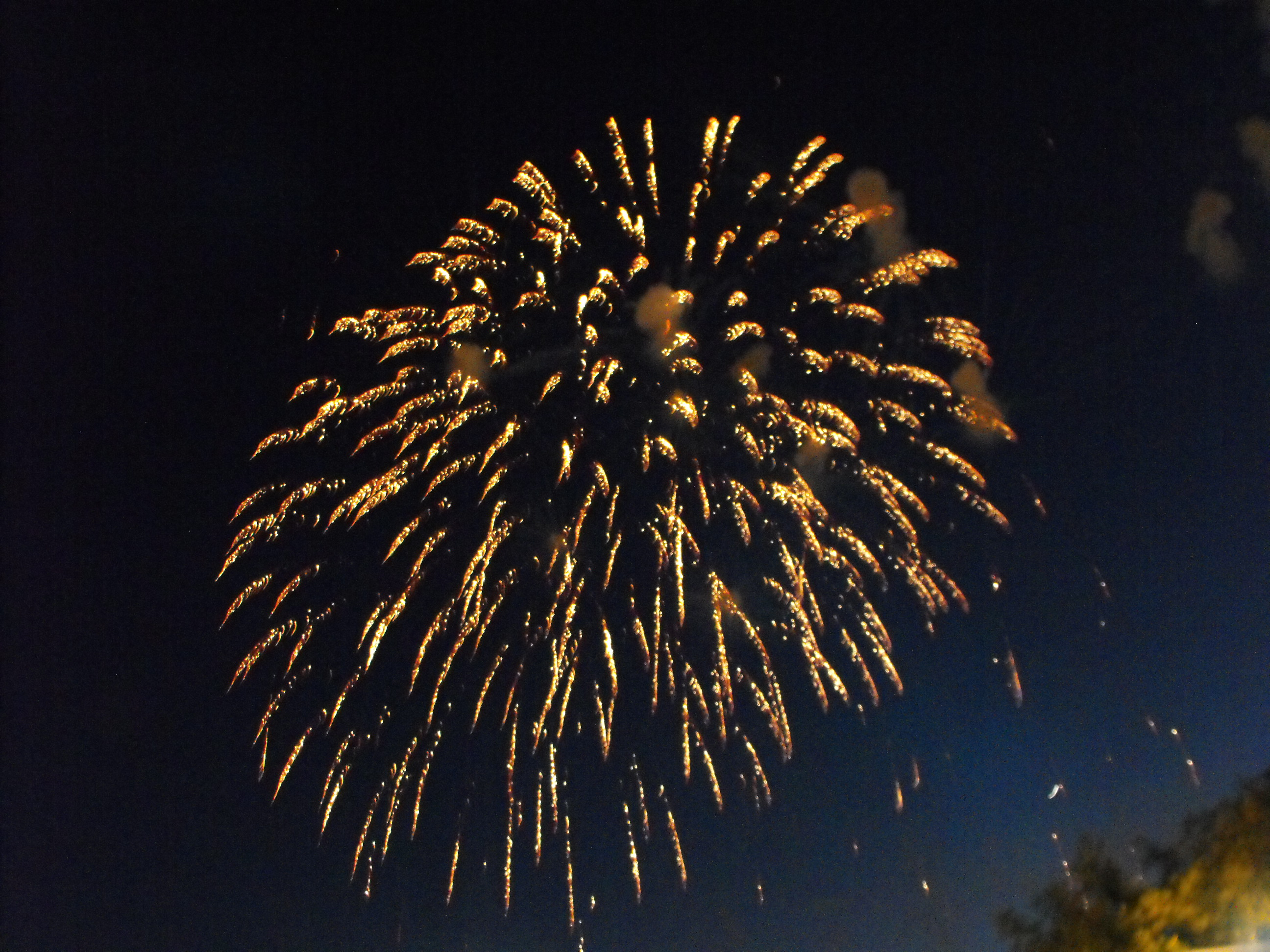 ./2010/Fourth of July/4th July Fireworks Wilm 0026.JPG